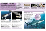 Pocket Eyewitness Sharks: Facts at Your Fingertips - Retail Maharaj