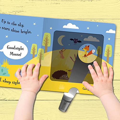 Goodnight Cat (Magic Torch Books) - Retail Maharaj
