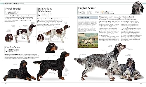 The Dog Encyclopedia: The Definitive Visual Guide - Retail Maharaj