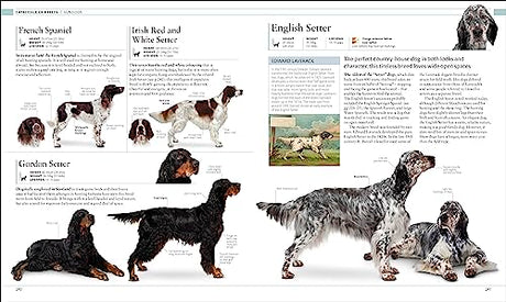 The Dog Encyclopedia: The Definitive Visual Guide - Retail Maharaj