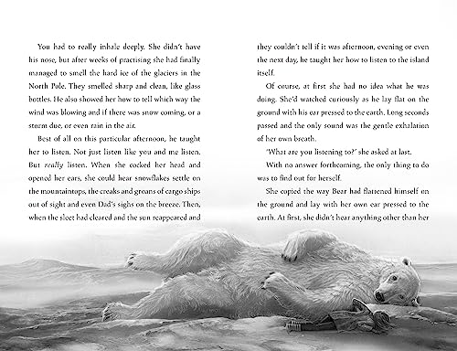 The Last Bear - Retail Maharaj