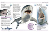 Pocket Eyewitness Sharks: Facts at Your Fingertips - Retail Maharaj