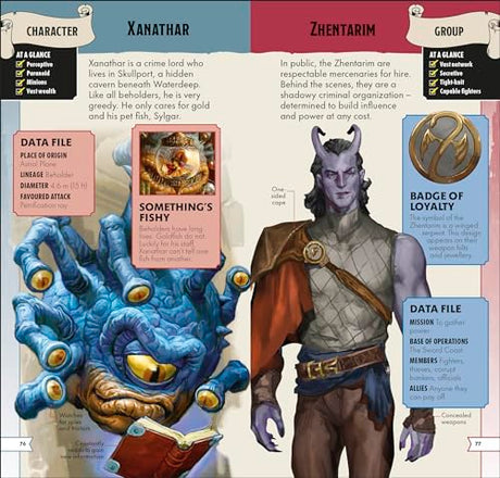 Dungeons & Dragons Pocket Expert - Retail Maharaj