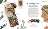 Nature's Treasures: Tales Of More Than 100 Extraordinary Objects From Nature - Retail Maharaj