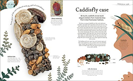 Nature's Treasures: Tales Of More Than 100 Extraordinary Objects From Nature - Retail Maharaj