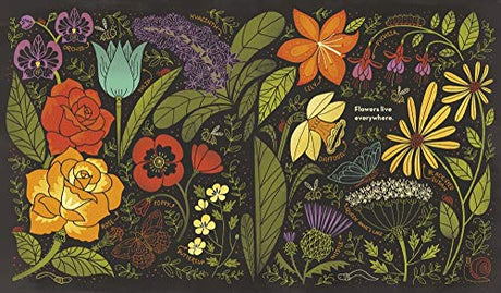 What's Inside A Flower?: And Other Questions About Science & Nature - Retail Maharaj