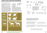 Drawing Nature: A Complete Guide (Art of Drawing) - Retail Maharaj