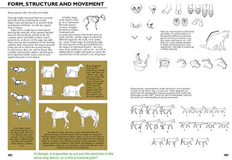 Drawing Nature: A Complete Guide (Art of Drawing) - Retail Maharaj