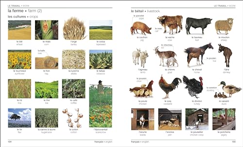 French English Bilingual Visual Dictionary - Retail Maharaj