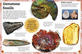 My Book of Fossils - Retail Maharaj