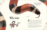 An Anthology of Intriguing Animals - Retail Maharaj
