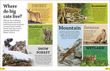 DKfindout! Big Cats - Retail Maharaj