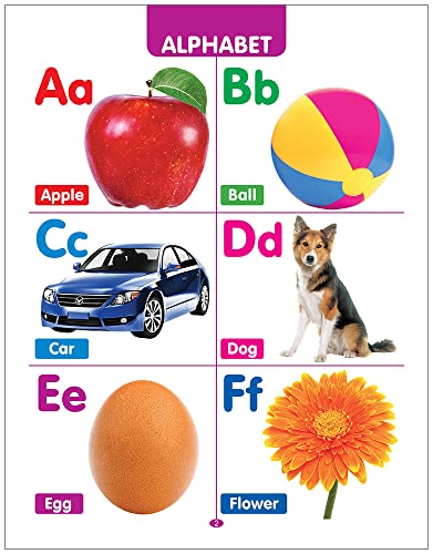 My First All in One Board Book (English): Picture Board Book for Kids | Vibrant and Eye-Catchy Pictures to Fascinate Young Ones | Early Learning Books For Babies, Toddlers & Preschool Kids | Learn Alphabet, Wild Animals, Birds, Nursery Rhymes & More | Age - Retail Maharaj