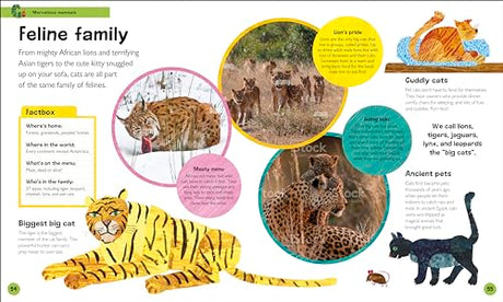 The Very Hungry Caterpillar's Very First Animal Encyclopedia: An Introduction to Animals, For VERY Hungry Young Minds (The Very Hungry Caterpillar Encyclopedias) - Retail Maharaj