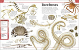 Animal Knowledge Genius!: A Quiz Encyclopedia to Boost Your Brain - Retail Maharaj