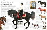 Horse - Retail Maharaj
