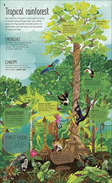 RHS The Magic and Mystery of Trees - Retail Maharaj