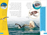 DK Super Readers Level 4 Shark Apex Predator (Arabic translation) - Retail Maharaj