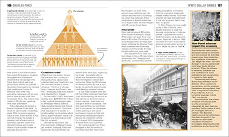 The Crime Book: Big Ideas Simply Explained - Retail Maharaj