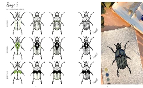 The Kew Book of Drawing Flora & Fauna: 20 Stunning Step-by-Step Tutorials - Retail Maharaj
