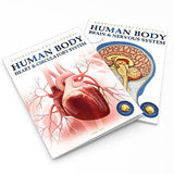 Human Body - Heart And Circulatory System: Knowledge Encyclopedia For Children - Retail Maharaj
