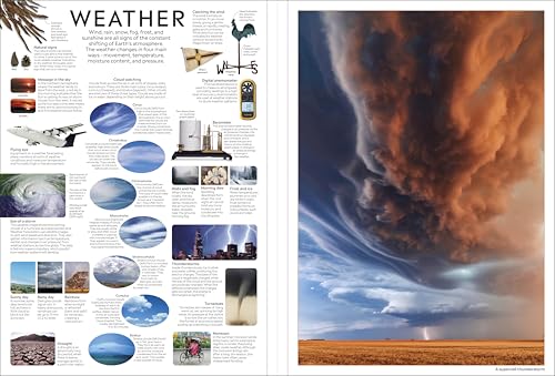 Eyewitness Encyclopedia Poster Book: More Than 30 Reversible Tear-Out Posters (DK Eyewitness) - Retail Maharaj