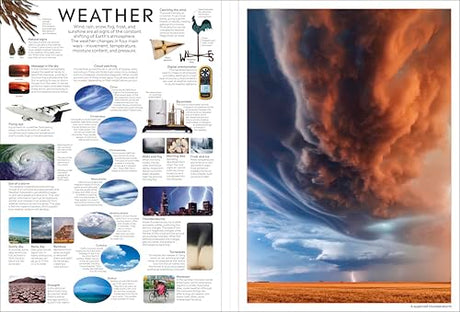 Eyewitness Encyclopedia Poster Book: More Than 30 Reversible Tear-Out Posters (DK Eyewitness) - Retail Maharaj