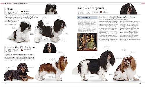 The Dog Encyclopedia: The Definitive Visual Guide - Retail Maharaj