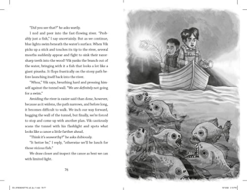 The Enchanted Bridge: 4 (Dragons in a Bag) - Retail Maharaj