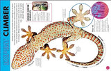 Everything You Need to Know About Snakes: And Other Scaly Reptiles - Retail Maharaj
