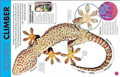Everything You Need to Know About Snakes: And Other Scaly Reptiles - Retail Maharaj