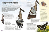 Butterflies and Moths: Explore Nature with Fun Facts and Activities (Nature Explorers) - Retail Maharaj