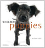 Shelter Puppies - Retail Maharaj