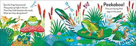 Pop-Up Peekaboo! Frog: Pop-Up Surprise Under Every Flap! - Retail Maharaj