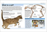 Cats: Facts at Your Fingertips - Retail Maharaj