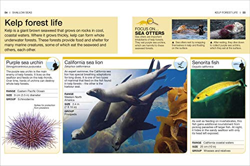 Ocean: Facts at Your Fingertips (Pocket Eyewitness) - Retail Maharaj