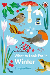 What to Look For in Every Season: A Ladybird Book Boxset - Retail Maharaj