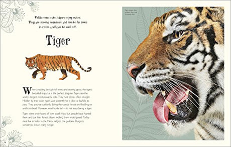 An Anthology of Intriguing Animals - Retail Maharaj