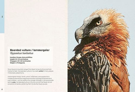 Ben Rothery's Weird and Wonderful Animals - Retail Maharaj