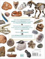 My Book of Fossils - Retail Maharaj