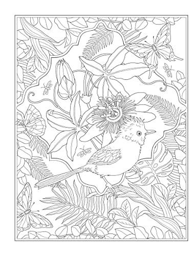 Creative Haven Tropical Wonders Coloring Book - Retail Maharaj