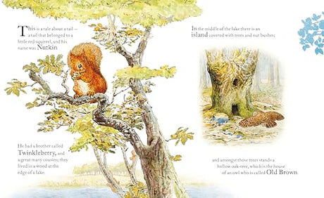The Tale of Squirrel Nutkin Picture Book - Retail Maharaj