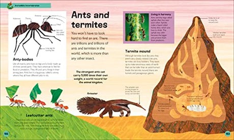 The Very Hungry Caterpillar's Very First Animal Encyclopedia: An Introduction to Animals, For VERY Hungry Young Minds (The Very Hungry Caterpillar Encyclopedias) - Retail Maharaj