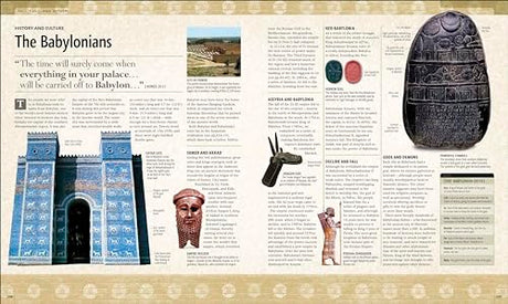 The Illustrated Bible Story by Story - Retail Maharaj