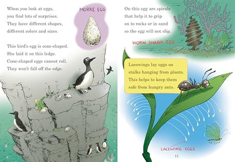 Who Hatches the Egg?: All About Eggs (Cat in the Hat's Learning Library) - Retail Maharaj