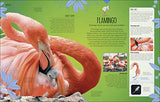 Born to be Wild: How Baby Animals Survive and Thrive - Retail Maharaj
