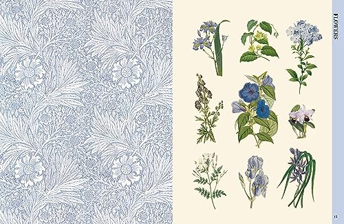 BOTANICAL ART TO CUT OUT & COLLAGE: Over 500 Botanical Illustrations to Inspire Creativity - Retail Maharaj