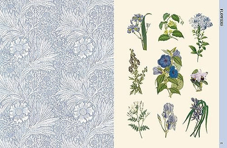 BOTANICAL ART TO CUT OUT & COLLAGE: Over 500 Botanical Illustrations to Inspire Creativity - Retail Maharaj