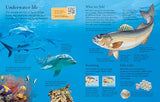 First Encyclopedia of Seas and Oceans - Retail Maharaj