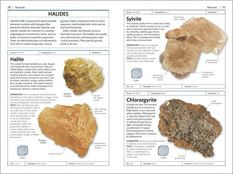 Rocks and Minerals - Retail Maharaj